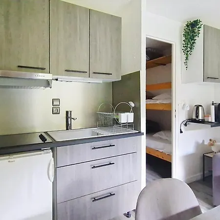 Perce Neige Pnc20 Nature & Family 4 Pers Apartment *