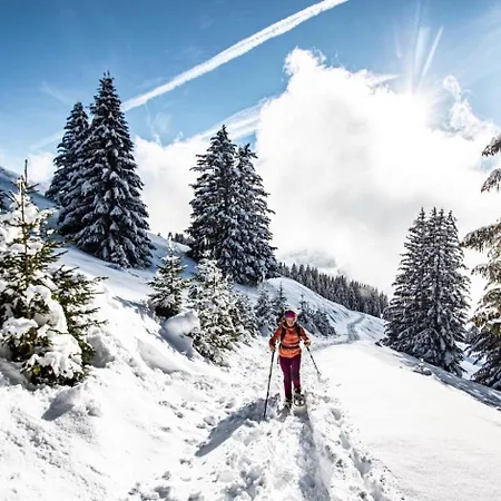 Perce Neige Pnc20 Nature & Family 4 Pers Chatel